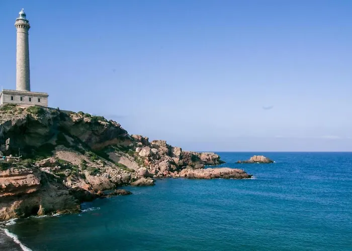 P Cormoran 4228 Santiago de la Ribera